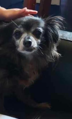 Little One Little One